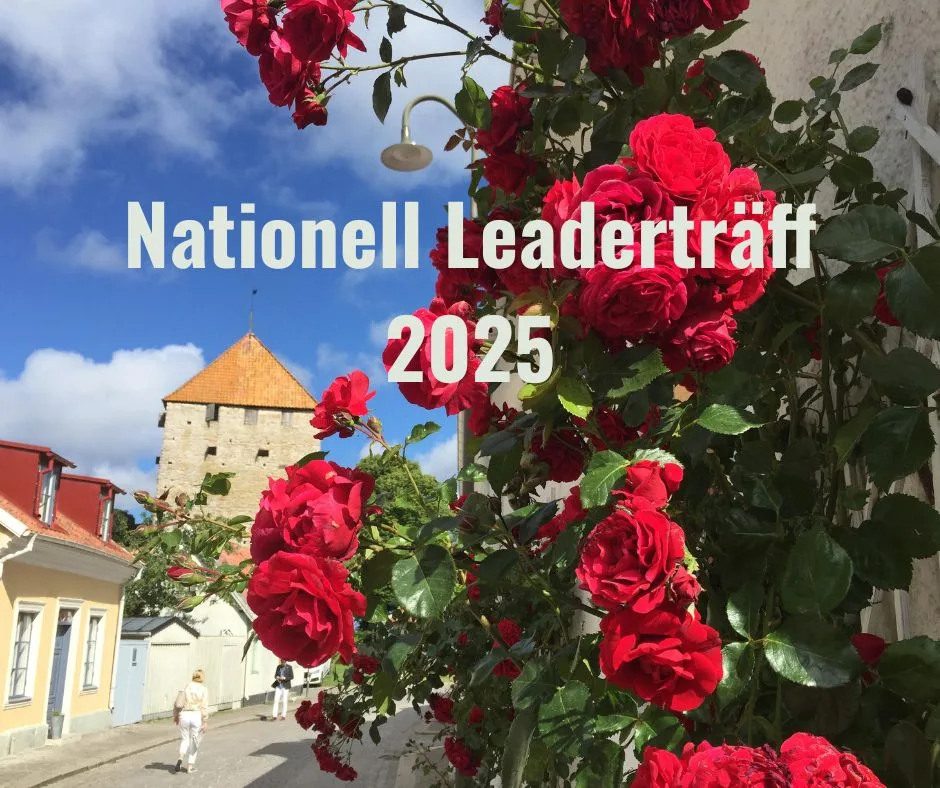 Nationell Leaderträff 2025